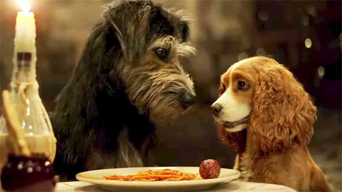 Regarder Film La Belle Et Le Clochard La Belle et le Clochard : la bande-annonce poilue ! • SEE Mag